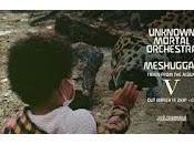 Unknown Mortal Orchestra estrenan Meshuggah