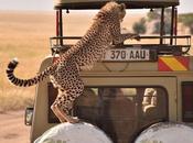 UDARE, safaris África, Trekkings viajes aventura