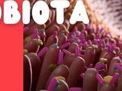 importancia microbiota
