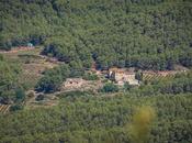 Manlleva