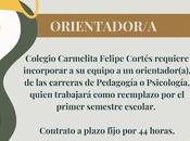 ¡ACTUALIZADO! OPORTUNIDADES EMPLEOS PARA ORIENTADORES CHILE: Semana 16-04-2023.