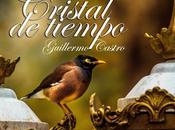 Guillermo Castro presenta nuevo sencillo “Cristal Tiempo