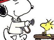 Diagnóstico: mamitis grave, doctor?