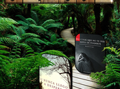 Primer ganador Concurso Internacional!