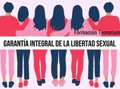 Resumen 2022 garantía integral libertad sexual