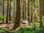 mejores campings Parksville,