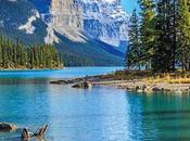 apuesta Canadá lanza campaña hasta descuento toda programación