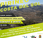 Pirineo Costa Sol-Alfarnate