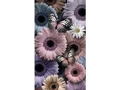 5.472 cómo decir...