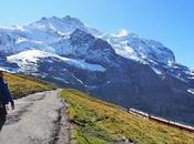 Swiss Travel Pass 2023, todo necesitas para viajar tren Suiza