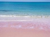playa rosa playas rosadas hermosas mundo