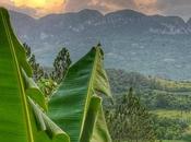 Viñales, valles mogotes
