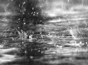 ¿corre, corre, llueve?