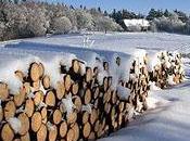 Este invierno será frío