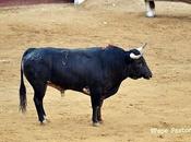 mano negra