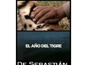 tigre