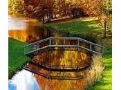Puente (reflexion)