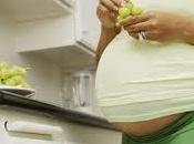 Requerimientos nutricionales durante embarazo