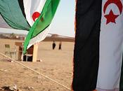 Sáhara programas electorales