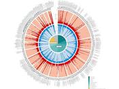 Descubren numerosos procesos metabólicos conocidos