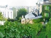 viñedo montmartre