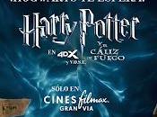 Este julio puedes conocer actor vida Viktor Krum Harry Potter Cáliz Fuego Cines Filmax