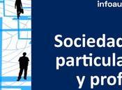 Tipos sociedad civil: particular, privada profesional