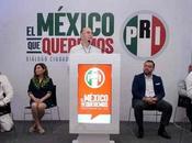 Partidos Políticos Asociaciones Civiles Unen para Foro Participación Ciudadana México Queremos»