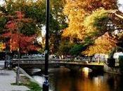 Cotswolds: Viaje coche campiña inglesa