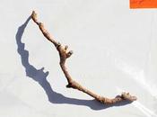 Harvey Lwonesome tonight (2023)