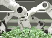 Cómo inteligencia artificial está transformando agricultura alimentación