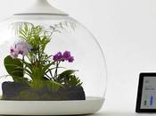 Biome terrario inteligente