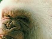 orgullo primate