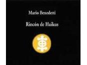 Rincón haikus
