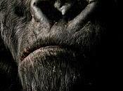 Recomendación semana: King Kong (Peter Jackson, 2005)