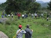 Ricoh siembra árbol número Reserva Nacional Popocatépetl-Iztaccíhuatl