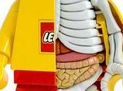 Anatomía LEGO
