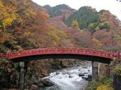 Momiji Nikko