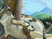 dinosaurio Psittacosaurus atacado mamífero Repenomamus robustus