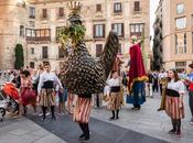 Festes Sant fiesta Perro