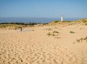 Zahora. barbate