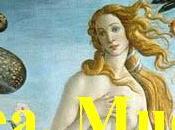 Convenio idea, Mucho arte.