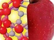 medicina ortomolecular