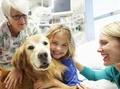 Poder Curativo Perros Terapeutas