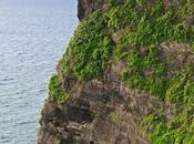 mejores cosas hacer Jimbaran (Bali)