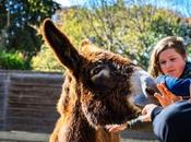 Costumbres catalanas conocer para experiencia tradicional Barcelona