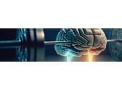 hormona inducida ejercicio podría clave lucha contra Alzheimer