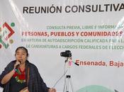 indiometro autoadscripción calificada