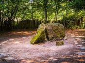 bosques legendarios para visitar Bretaña