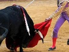 Castella: plaza torear, matar toro…'